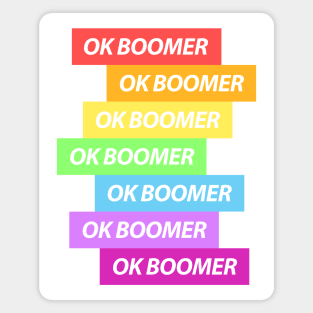 Ok Boomer Rainbow Bars Magnet